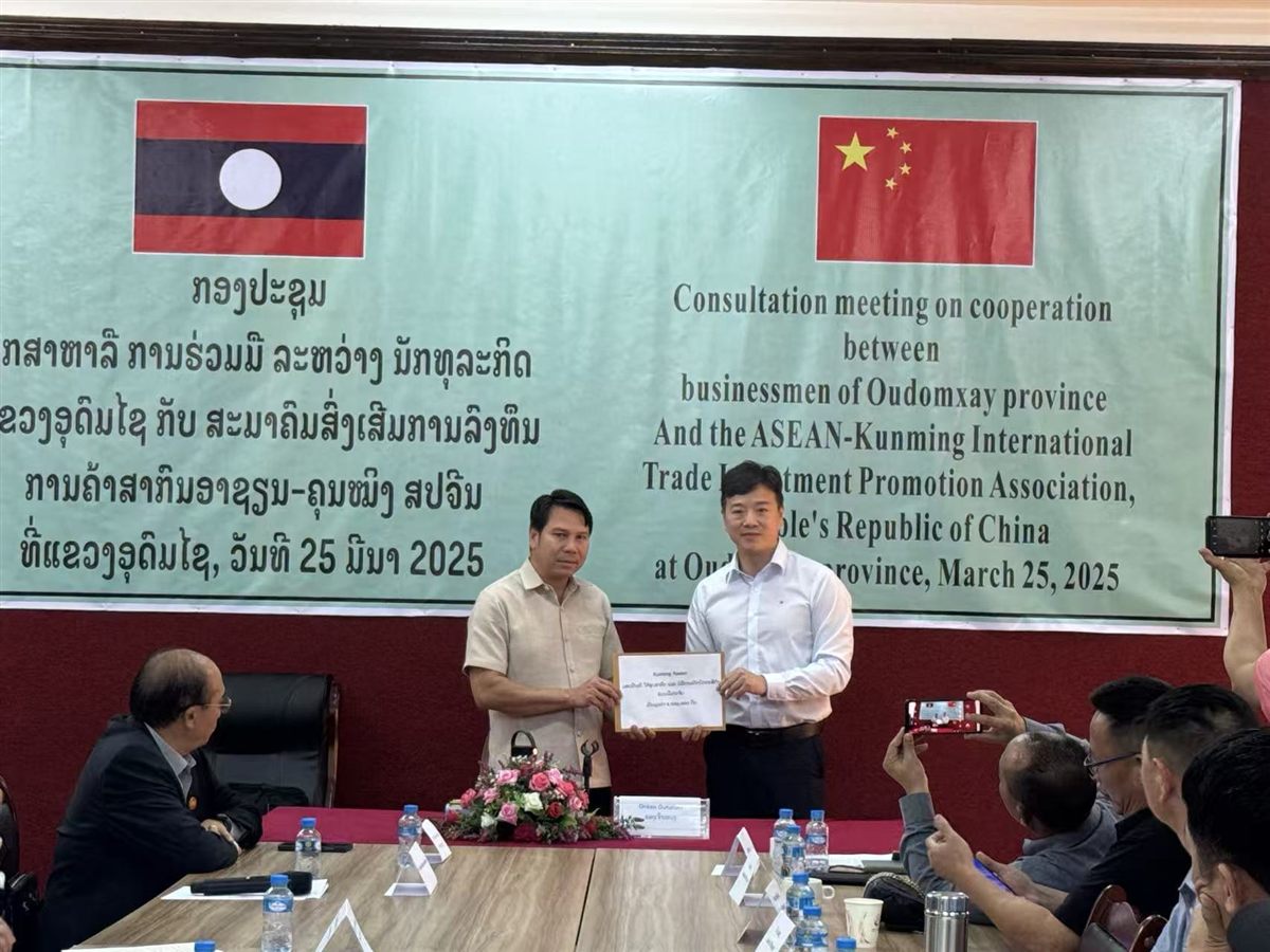 Business meeting for China-ASEAN cooperation discussion